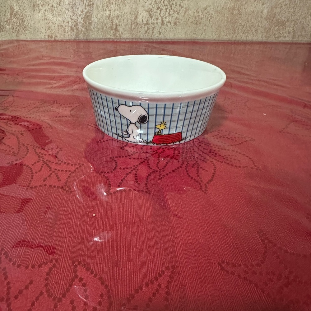Peanuts Snoopy Pet Bowl collection - Picture 5 of 15